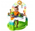 Игровой центр 2 в 1 Bright Starts 60539 «Laugh & Lights Activity Gym & Saucer»